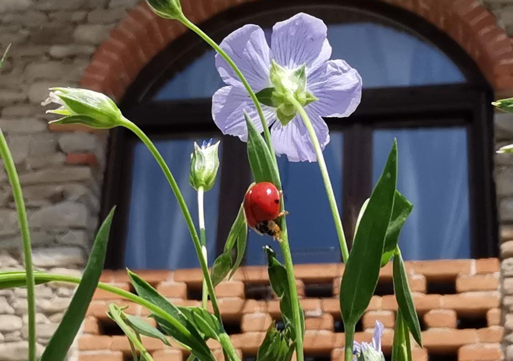 Bubbio Apartment | Agriturismo Mondo