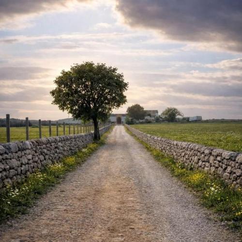Chiaramonte Gulfi Bed & Breakfast | Agriturismo Valle di Chiaramonte