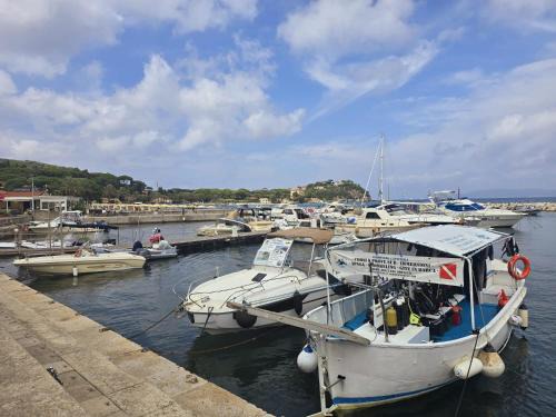Cavo Apartment | Appartamento Soliluna - Goelba