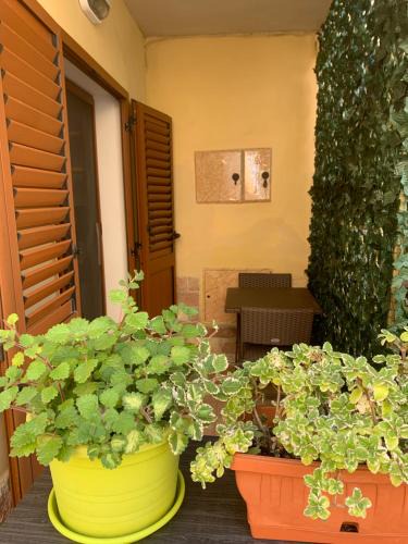 Pivarada House | Aris