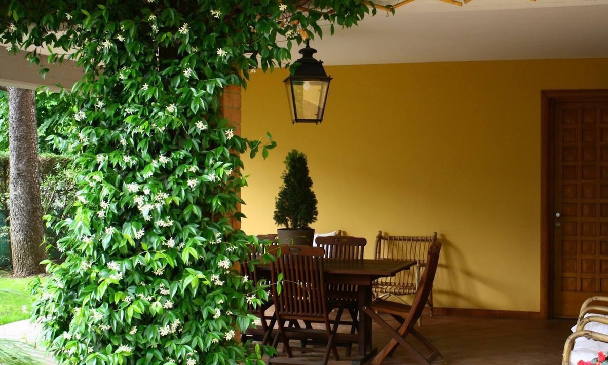 San Faustino-Madonnina-Quattroville Bed & Breakfast | B&B Igea 50
