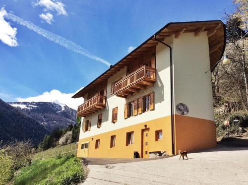 Male Bed & Breakfast | B&B La Marmotta