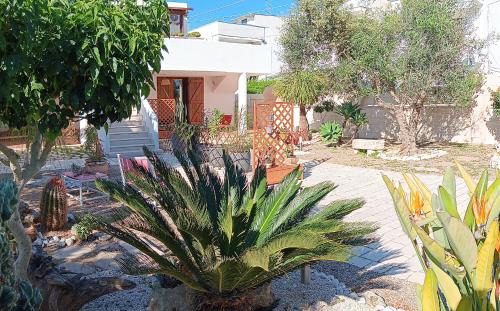 Specchiolla House | b&b Stella marina torre guaceto