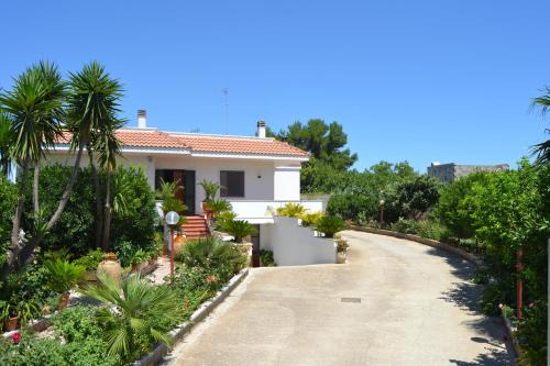 Muro Leccese Bed & Breakfast | B&B Villa Sitrie