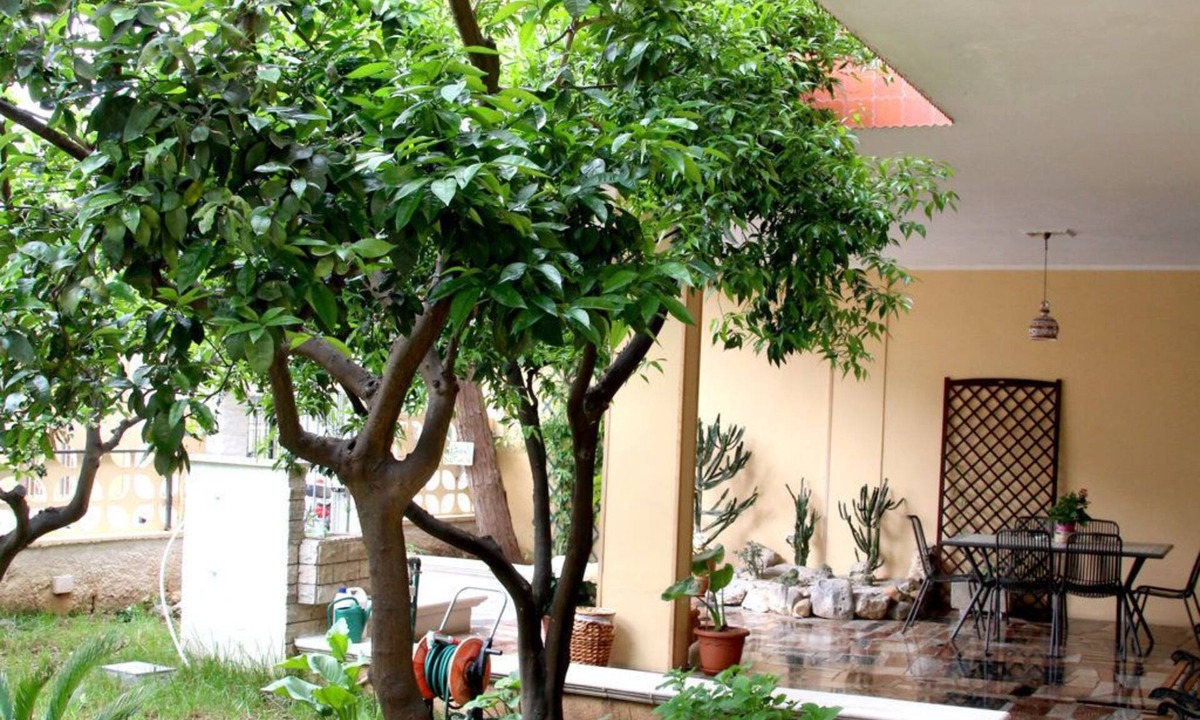 San Donaci Bed & Breakfast | Bed and Breakfast L'Aranceto