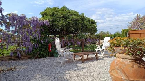 Donoratico Apartment | BellOretta