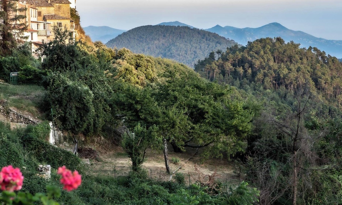 Revest-les-Roches Apartment | Between sea and mountains, pets welcome, hiking, walks from the house
