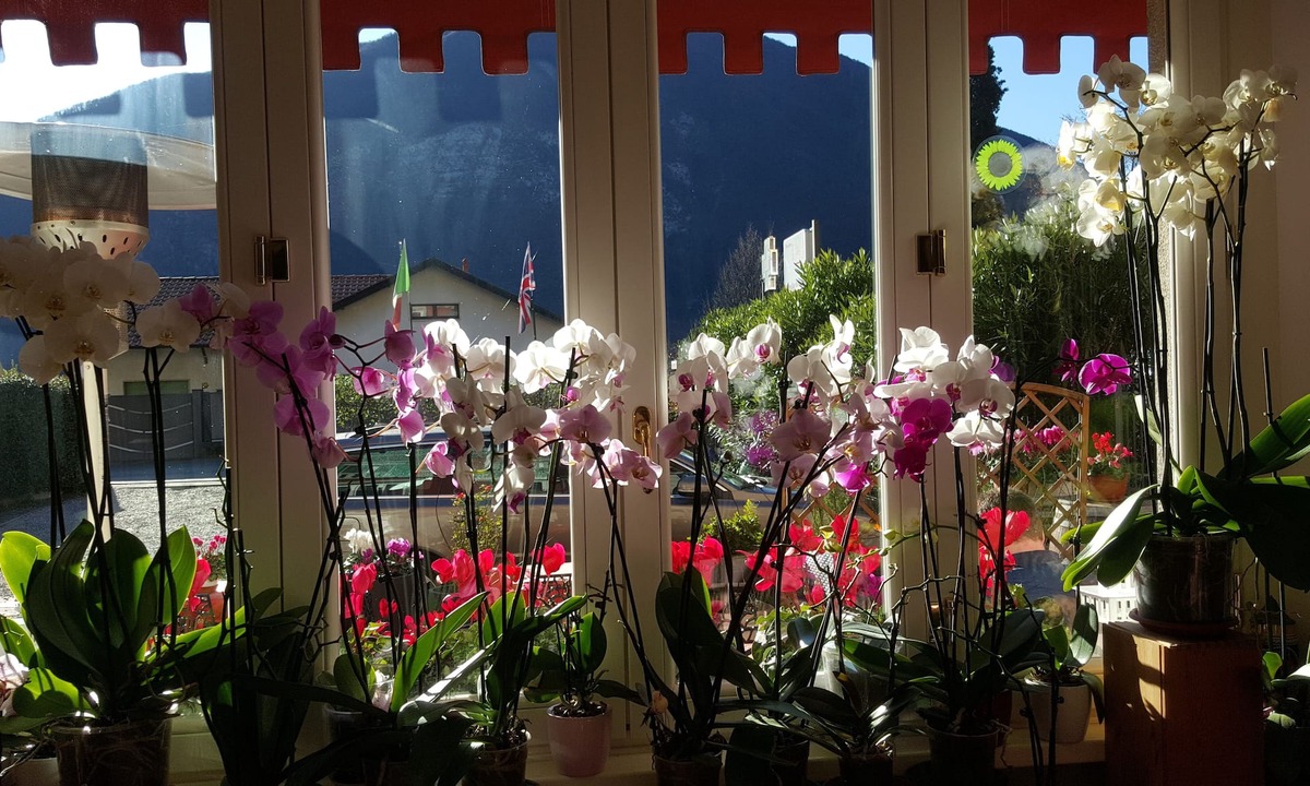 San Mamete Bed & Breakfast | Caffè del Viaggiatore