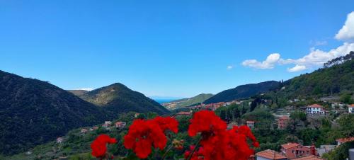 Castiglione Chiavarese Bed & Breakfast | Camera tra le Cinque Terre, Camogli e Portofino. Vista valle e scorcio mare all'orizzonte