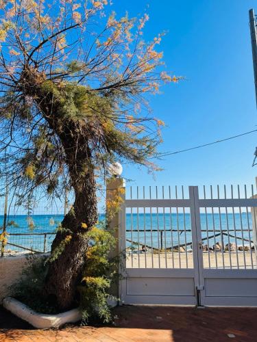 San Lorenzo House | Casa Patrizia a 10 metri dalla spiaggia