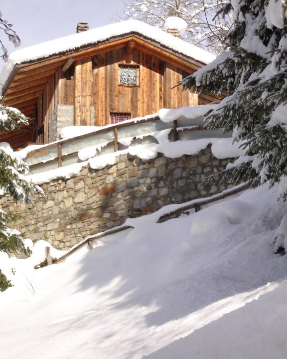 Temu Ski Chalet | Chalet BAITA BEDOLINA