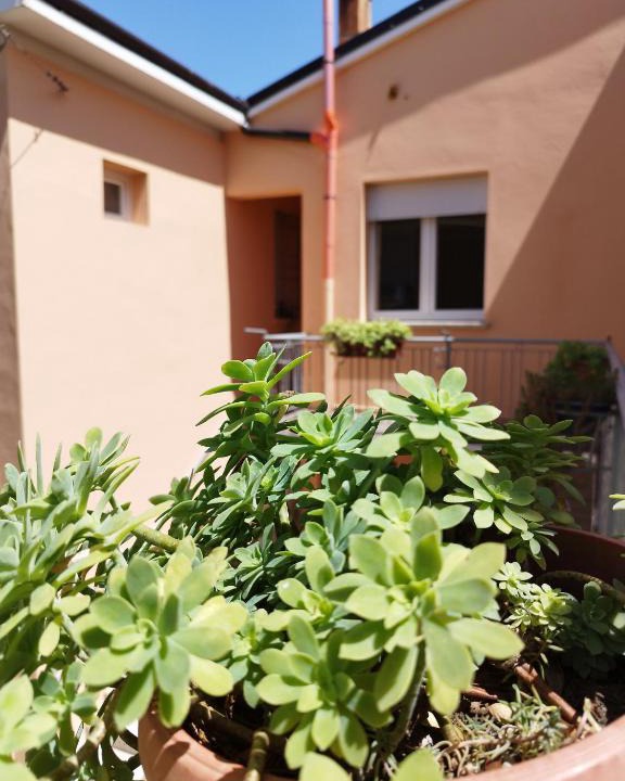 Medelana Apartment | Da Silvana