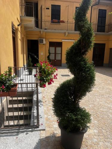Cit Turin Apartment | Ex laboratorio al Cit