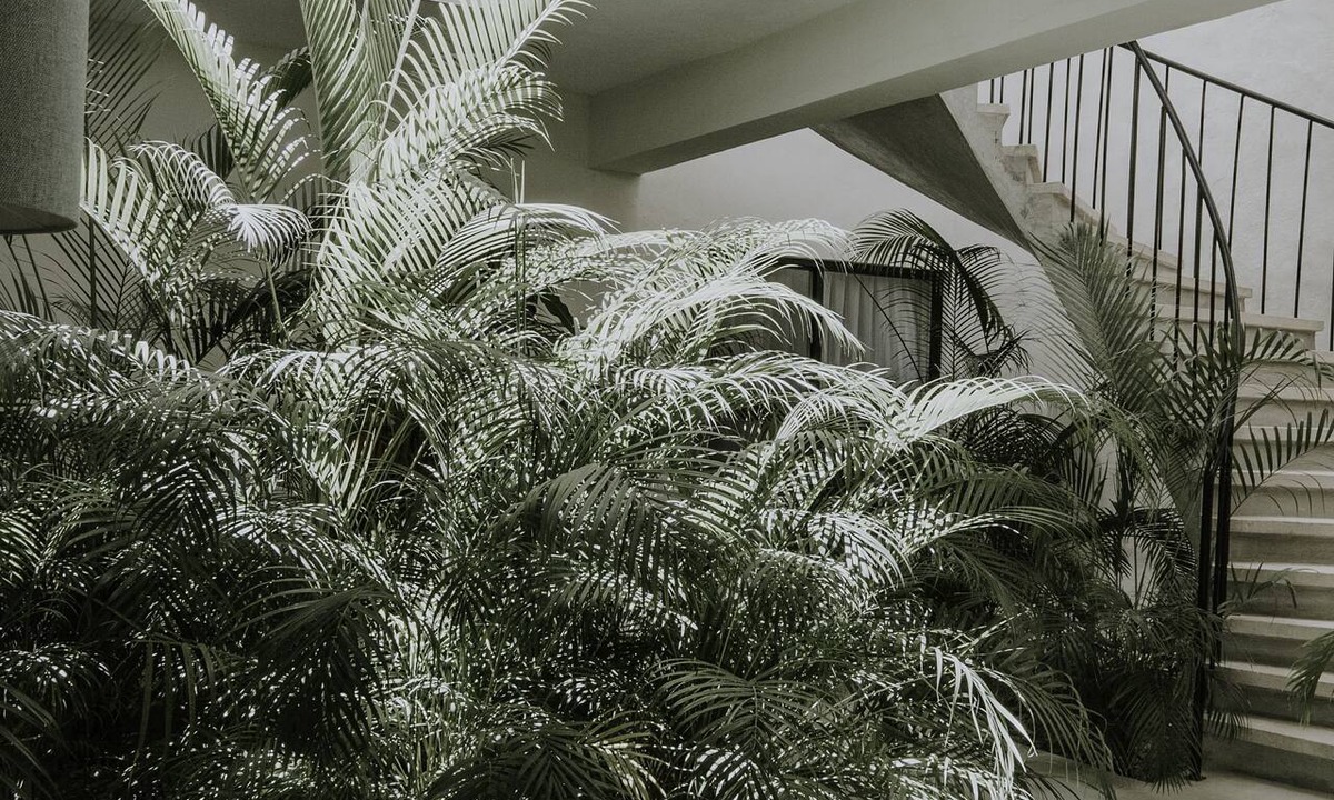 Downtown Holbox Hotel | Hotel Aurora