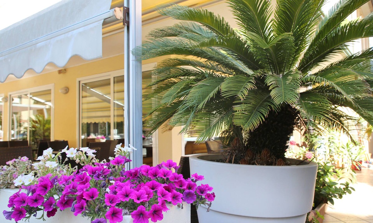 Rivabella Hotel | Hotel Elisir