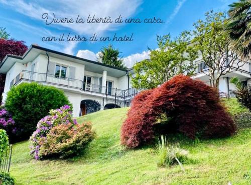 Como House | i FAGGI ROSSI - RED BEECH TREES
