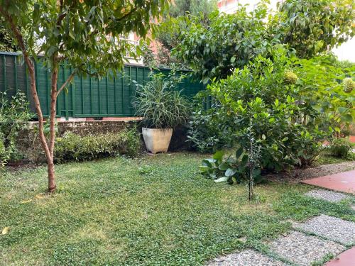 Rezza Apartment | Il giardino dei limoni