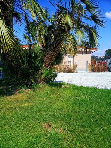 Santa Maria a Monte House | Il Tarassaco-exclusive pool