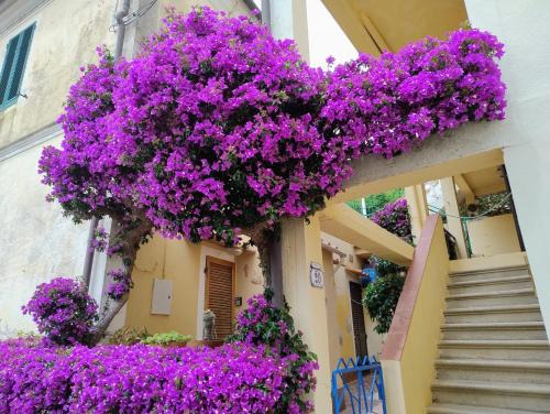 Cavo Apartment | La casa dei Nonni