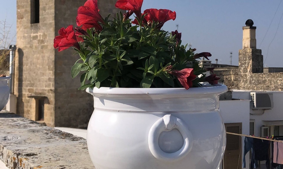 Alessano House | Large accommodation nl historical center with private terrace of 150 sqm