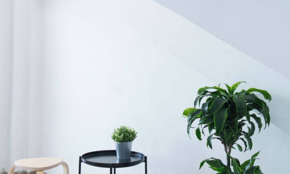 Syracuse House | Le Stanze di Archimede