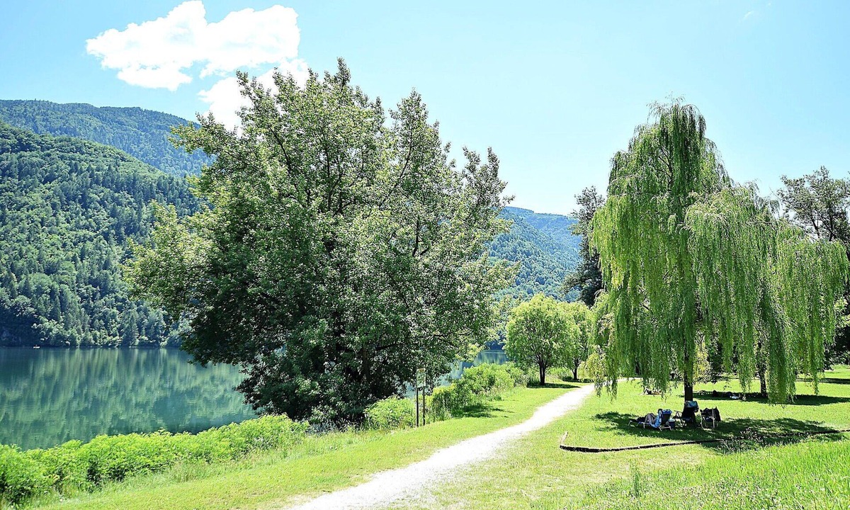 Feltre Apartment | Nice apartment for 6 people with WIFI, TV, terrace, pets allowed and panoramic view