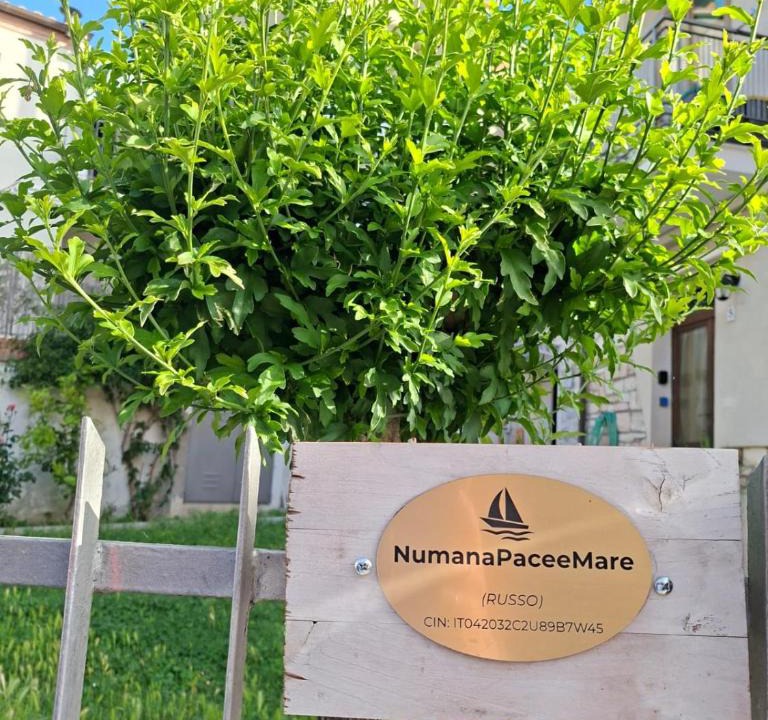 Numana Apartment | NumanaPaceeMare