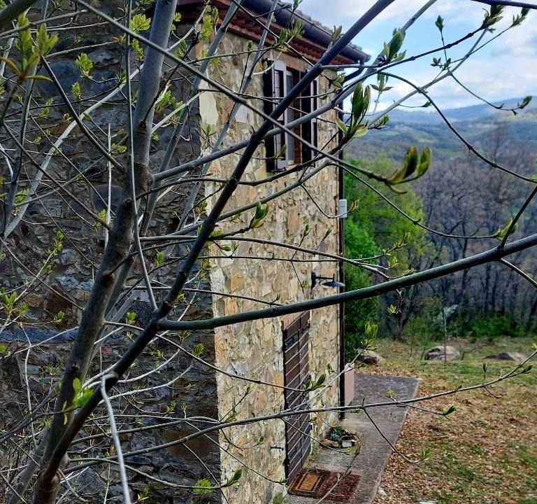 Arcidosso Villa | Podere Frassinelli, casa nel bosco