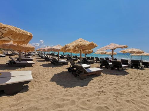 Padula Fede Bed & Breakfast | Samanà Room A con Spiaggia Privata a Punta Prosciutto