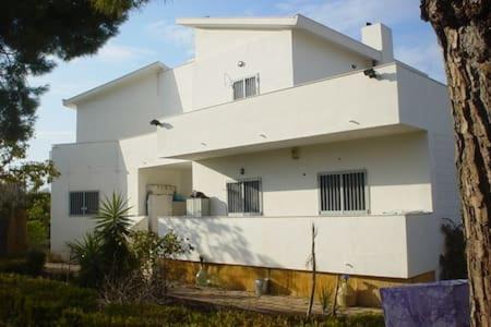 Torre a Mare Villa | Villa Alma