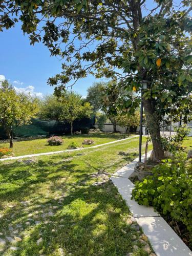 Domusnovas House | Villa Eden