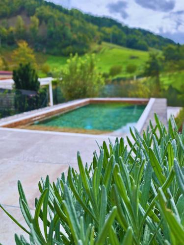 Modigliana Villa | Villa River's View Private Swimming Pool & Spa citycenter on foot