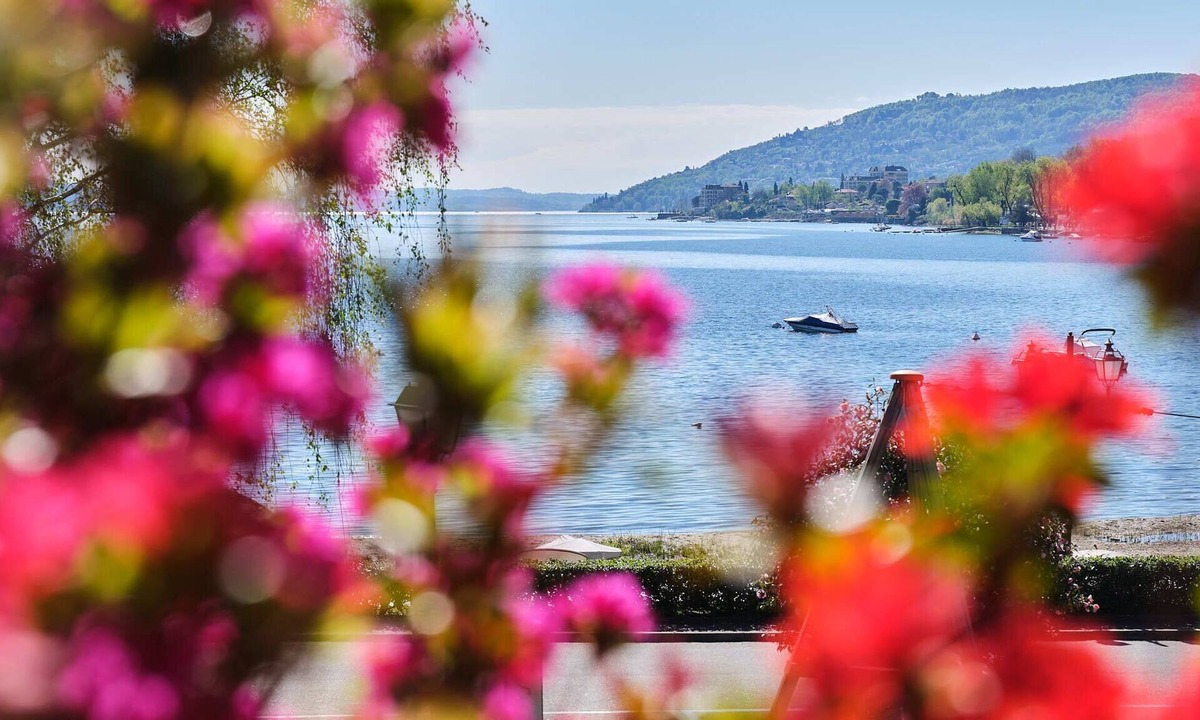 Feriolo Apartment | Vrbo Property