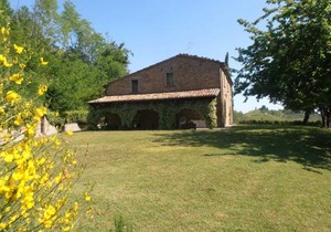 Il Glicine