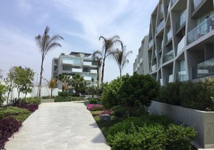 Ocean Reef