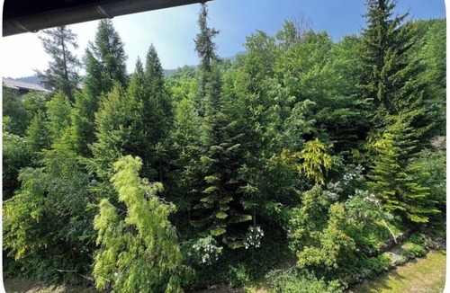 Allos Apartment | 34-square-meter duplex apartment; private parking reserved for the building; pets allowed