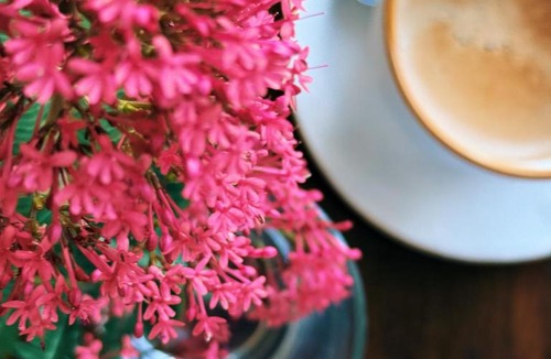 Loro Ciuffenna Bed & Breakfast | A Casa Da Agata