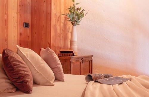 Gressoney-la-Trinite Ski Chalet | A-waay Stadel Walser Betta