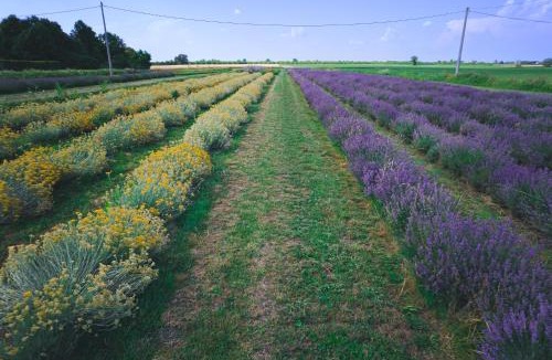 Bellombra Bed & Breakfast | AgriB&B Corte Burchio