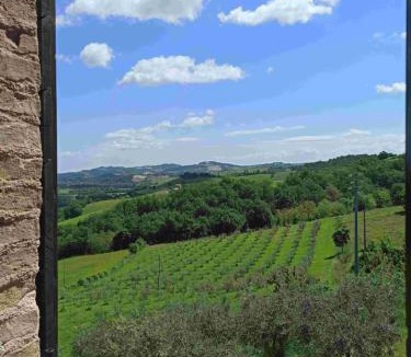 Pergola House | Agriturismo Alla Vecchia Quercia