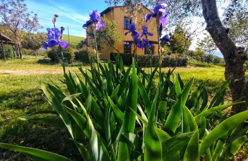 Volterra House | Agriturismo La fonte