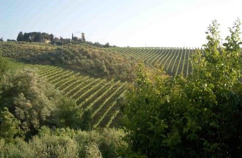 San Gimignano House | Agriturismo Podere Cappella