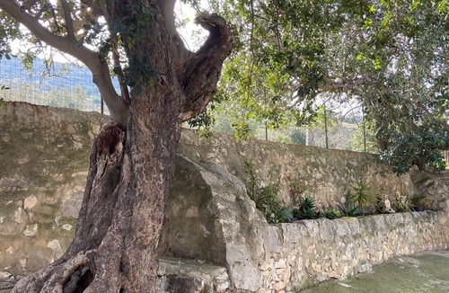 Comiso House | ancient rural house, nature and tranquility