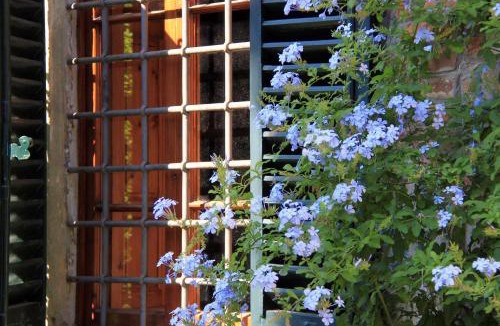 Colle di Buggiano Bed & Breakfast | antica casa "le rondini"
