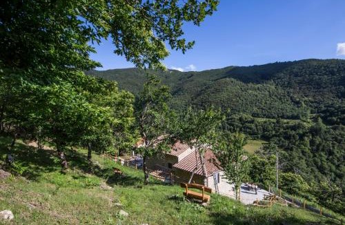 Bibbiena Apartment | Antichi Sentieri