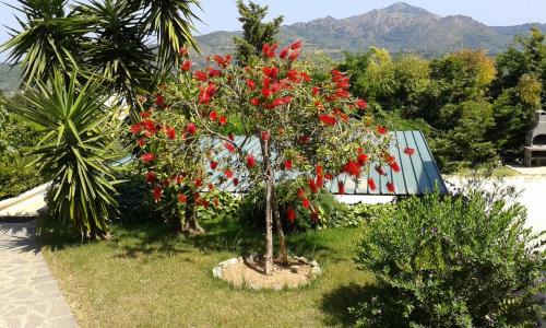 Capoliveri Apartment | Apartment in villa 2 to 4 persons with large private garden Sole