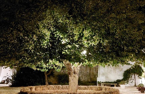 Polignano a Mare Apartment | Apartment 'Masseria San Martino - 5' with Shared Pool, Wi-Fi and Air Conditioning