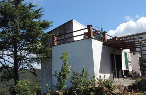 Rio Marina Apartment | Appartamento Cavo