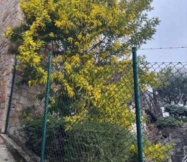 Trissino Bed & Breakfast | B&B ALLE SCALETTE