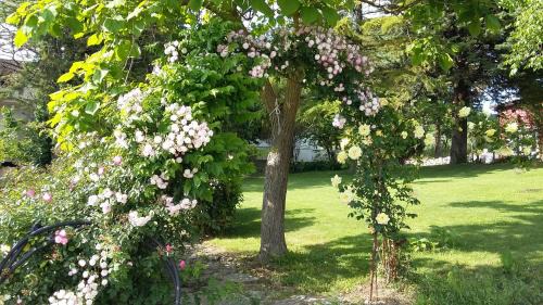 Benevento Bed & Breakfast | B&B Casa di Laura